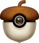 Acorn app logo